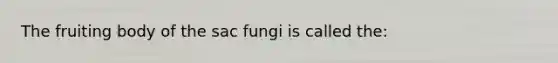 The fruiting body of the sac fungi is called the: