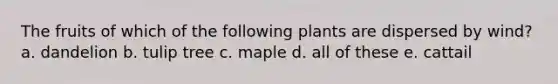 The fruits of which of the following plants are dispersed by wind? a. dandelion b. tulip tree c. maple d. all of these e. cattail