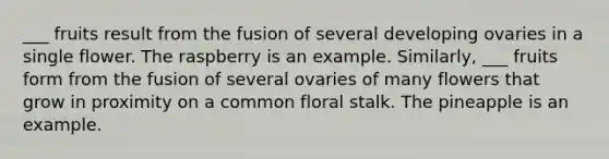 ___ fruits result from the fusion of several developing ovaries in a single flower. The raspberry is an example. Similarly, ___ fruits form from the fusion of several ovaries of many flowers that grow in proximity on a common floral stalk. The pineapple is an example.