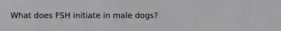 What does FSH initiate in male dogs?