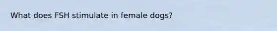 What does FSH stimulate in female dogs?