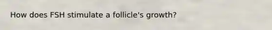 How does FSH stimulate a follicle's growth?