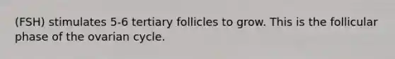 (FSH) stimulates 5-6 tertiary follicles to grow. This is the follicular phase of the ovarian cycle.