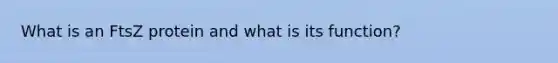 What is an FtsZ protein and what is its function?