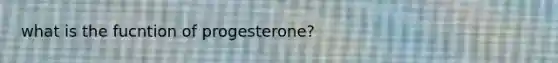 what is the fucntion of progesterone?