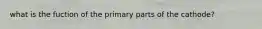 what is the fuction of the primary parts of the cathode?