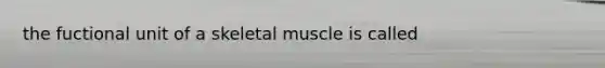 the fuctional unit of a skeletal muscle is called