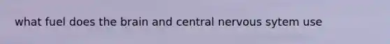 what fuel does the brain and central nervous sytem use