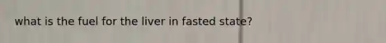 what is the fuel for the liver in fasted state?