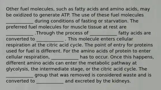 Other fuel molecules, such as fatty acids and amino acids, may be oxidized to generate ATP. The use of these fuel molecules ____________ during conditions of fasting or starvation. The preferred fuel molecules for muscle tissue at rest are ____________ .Through the process of ____________ fatty acids are converted to ____________ . This molecule enters cellular respiration at the citric acid cycle. The point of entry for proteins used for fuel is different. For the amino acids of protein to enter cellular respiration, ____________ has to occur. Once this happens, different amino acids can enter the metabolic pathway at glycolysis, the intermediate stage, or the citric acid cycle. The ____________ group that was removed is considered waste and is converted to ____________ and excreted by the kidneys.