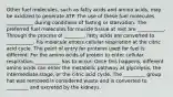 Other fuel molecules, such as fatty acids and amino acids, may be oxidized to generate ATP. The use of these fuel molecules ___________ during conditions of fasting or starvation. The preferred fuel molecules for muscle tissue at rest are ___________. Through the process of ________, fatty acids are converted to ___________. his molecule enters cellular respiration at the citric acid cycle. The point of entry for proteins used for fuel is different. For the amino acids of protein to enter cellular respiration, __________ has to occur. Once this happens, different amino acids can enter the metabolic pathway at glycolysis, the intermediate stage, or the citric acid cycle. The _________ group hat was removed is considered waste and is converted to _________ and excreted by the kidneys.