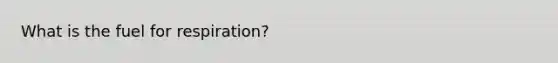 What is the fuel for respiration?