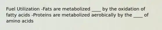 Fuel Utilization -Fats are metabolized ____ by the oxidation of fatty acids -Proteins are metabolized aerobically by the ____ of amino acids