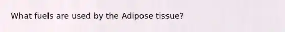 What fuels are used by the Adipose tissue?