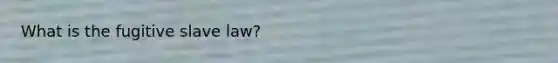 What is the fugitive slave law?