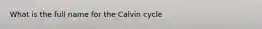 What is the full name for the Calvin cycle