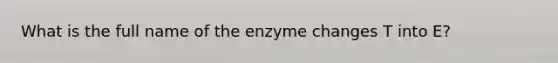 What is the full name of the enzyme changes T into E?