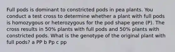 Full pods is dominant to constricted pods in pea plants. You conduct a test cross to determine whether a plant with full pods is homozygous or heterozygous for the pod shape gene (P). The cross results in 50% plants with full pods and 50% plants with constricted pods. What is the genotype of the original plant with full pods? a PP b Pp c pp