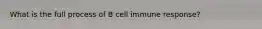 What is the full process of B cell immune response?