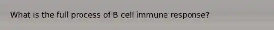 What is the full process of B cell immune response?