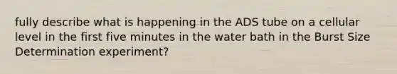 fully describe what is happening in the ADS tube on a cellular level in the first five minutes in the water bath in the Burst Size Determination experiment?