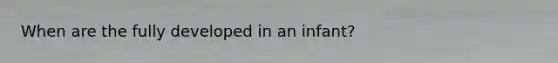 When are the fully developed in an infant?
