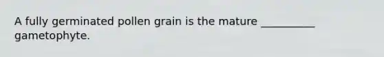 A fully germinated pollen grain is the mature __________ gametophyte.