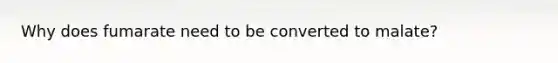 Why does fumarate need to be converted to malate?