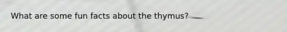 What are some fun facts about the thymus?