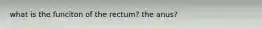 what is the funciton of the rectum? the anus?