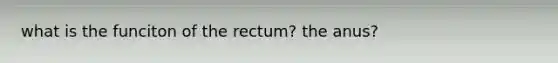 what is the funciton of the rectum? the anus?