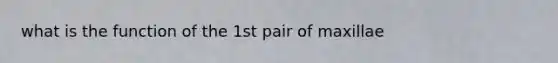 what is the function of the 1st pair of maxillae