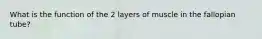 What is the function of the 2 layers of muscle in the fallopian tube?