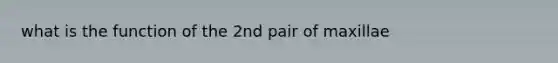 what is the function of the 2nd pair of maxillae