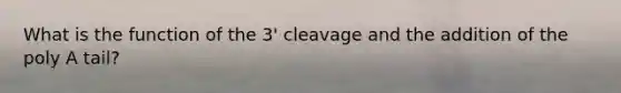 What is the function of the 3' cleavage and the addition of the poly A tail?