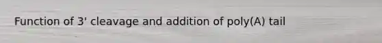 Function of 3' cleavage and addition of poly(A) tail