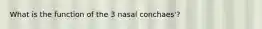 What is the function of the 3 nasal conchaes'?