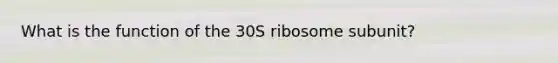 What is the function of the 30S ribosome subunit?