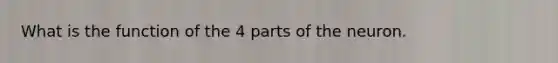 What is the function of the 4 parts of the neuron.