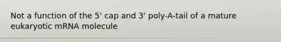 Not a function of the 5' cap and 3' poly-A-tail of a mature eukaryotic mRNA molecule