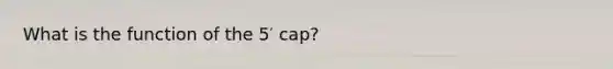 What is the function of the 5′ cap?