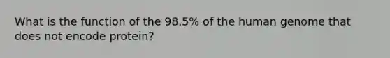 What is the function of the 98.5% of the human genome that does not encode protein?