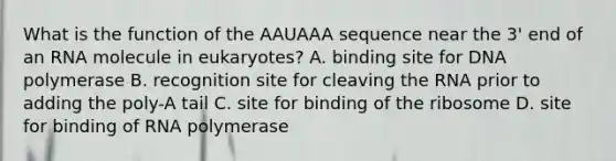 What is the function of the AAUAAA sequence near the 3' end of an RNA molecule in eukaryotes? A. binding site for DNA polymerase B. recognition site for cleaving the RNA prior to adding the poly-A tail C. site for binding of the ribosome D. site for binding of RNA polymerase