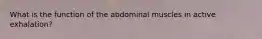 What is the function of the abdominal muscles in active exhalation?