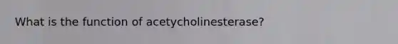 What is the function of acetycholinesterase?