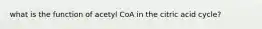 what is the function of acetyl CoA in the citric acid cycle?