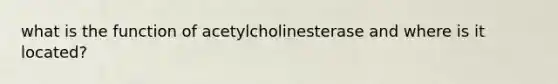 what is the function of acetylcholinesterase and where is it located?