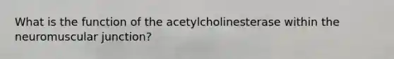 What is the function of the acetylcholinesterase within the neuromuscular junction?