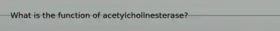 What is the function of acetylchollnesterase?