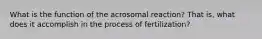 What is the function of the acrosomal reaction? That is, what does it accomplish in the process of fertilization?